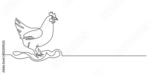 one continuous line drawing of a hen.one line drawing of a broiler.single line vector illustration.isolated white background