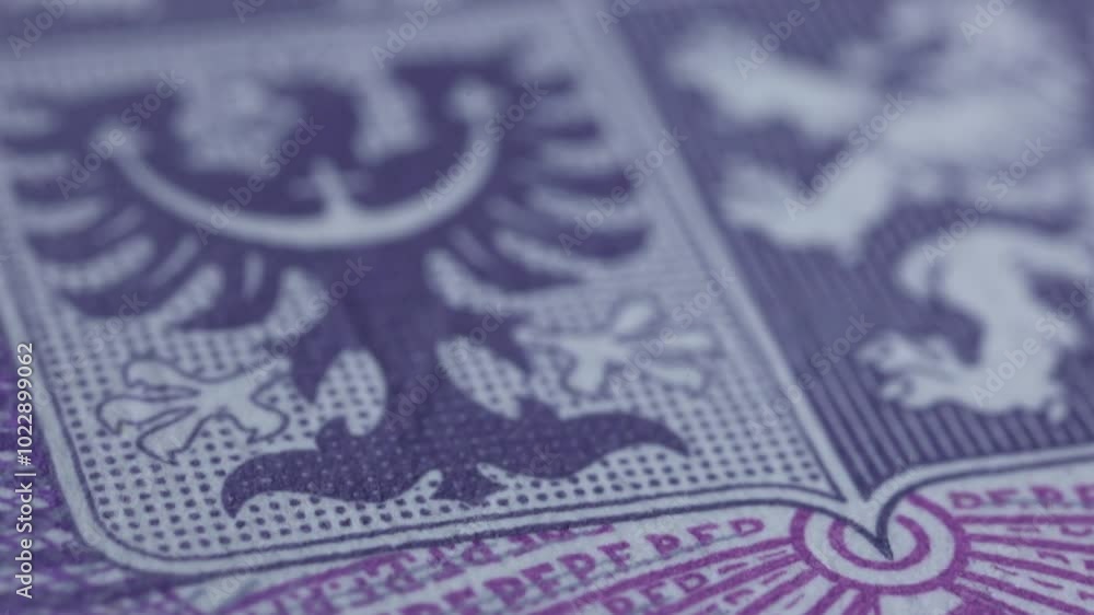 Czech banknote extreme detail close up. 1000 Crowns bill. National bank printed currency. Anti scan and print symbols. Czech banknote extreme detail close up. 1000 Crowns bill. National bank printed currency. Anti scan and print symbols.