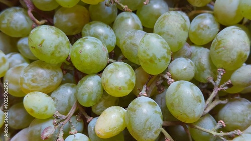 Wallpaper Mural Close-up of fresh green grapes in a bunch, showcasing their natural texture and vibrant color. Torontodigital.ca