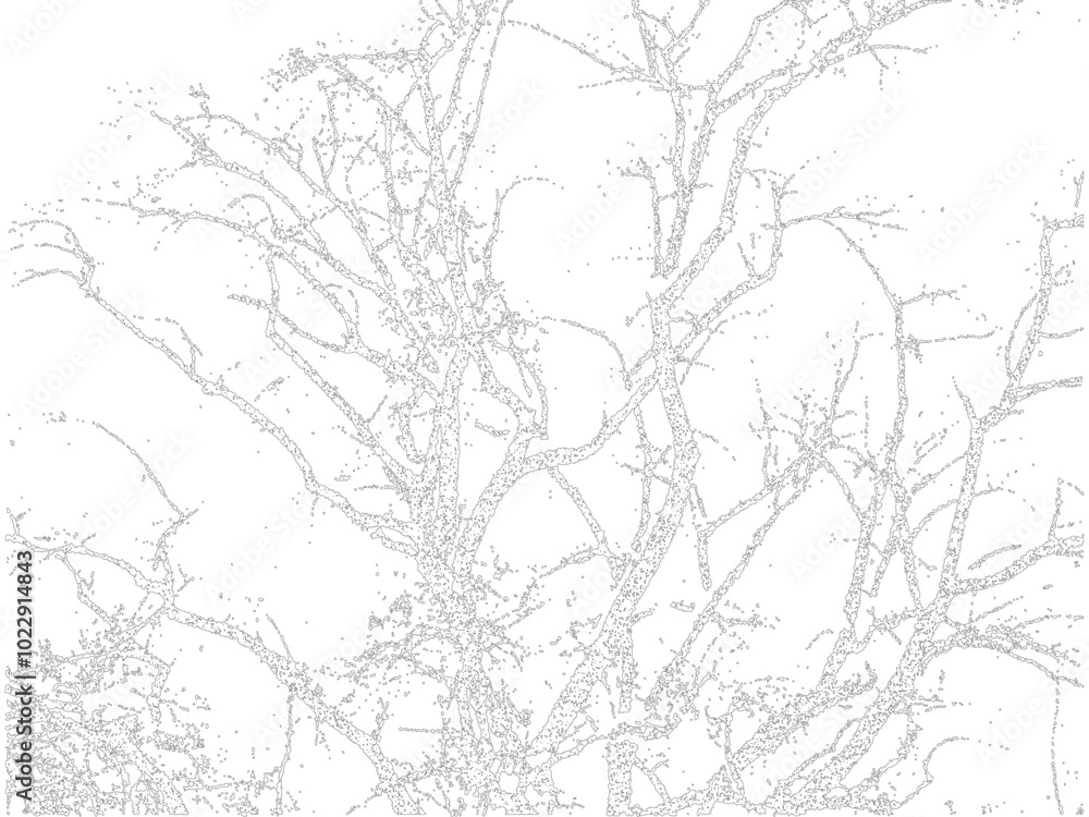 Fototapeta premium tree on sky abstract texture dot vector art, line background