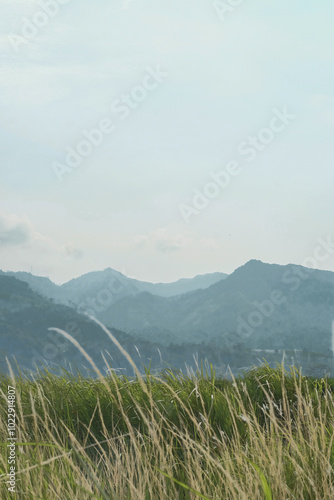 landscape with fog