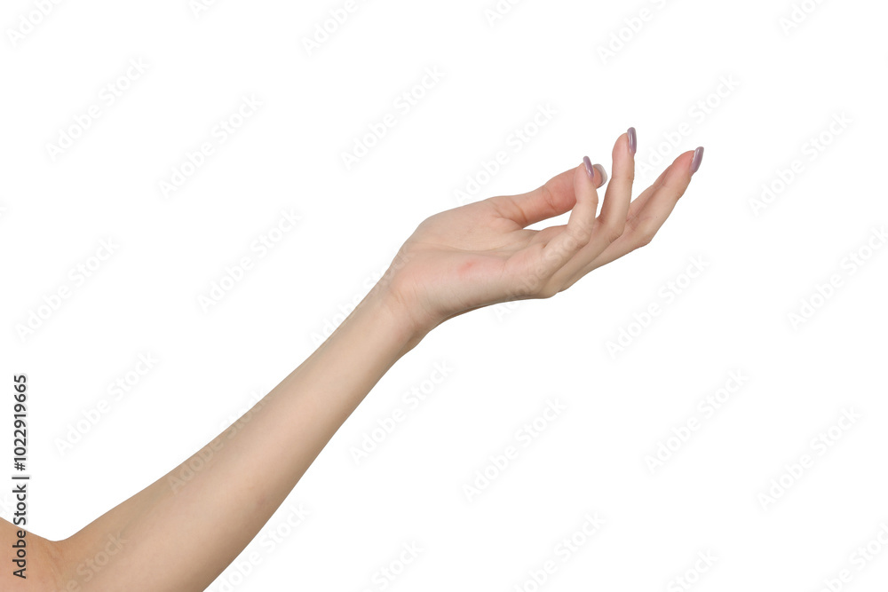 Pointing hand gestures,gesture, sign Woman s palm, fingers, wrist showing different signs; click, tap, press, choose directions.isolated on white background. Pointing hand gestures,gesture, sign Woman s palm, fingers, wrist showing different signs; click, tap, press, choose directions.isolated on white background.