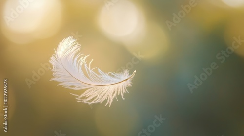 feather's graceful descent, capturing the ethereal beauty of single white feather suspended in midair photo