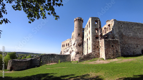 ruins of castle