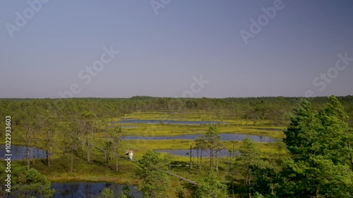 Wallpaper Mural Tourists walking through Viru Bog near Tallinn, Estonia Torontodigital.ca