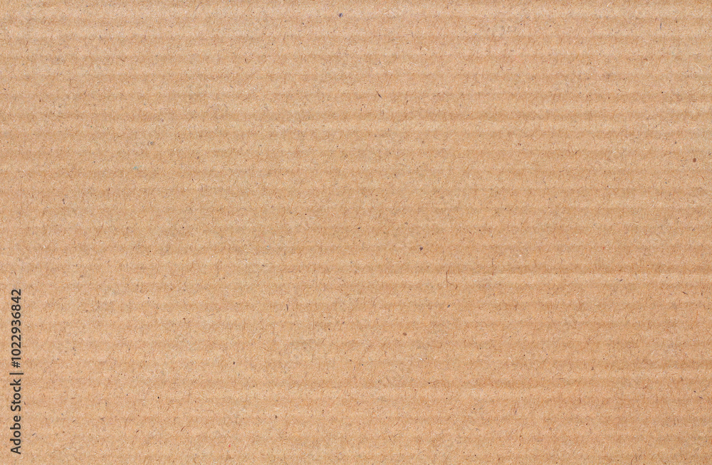 Fototapeta premium Cardboard sheet texture background, detail of recycle brown paper box pattern.