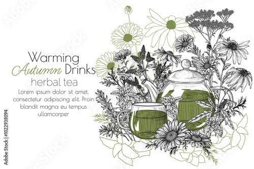 Vector banner of herbal tea. Teapot and cup. Mint, chamomile, calendula, echinacea, rosemary
