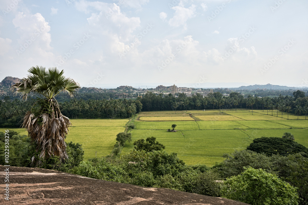 Granite giants watching over the rice fields of Anegundi