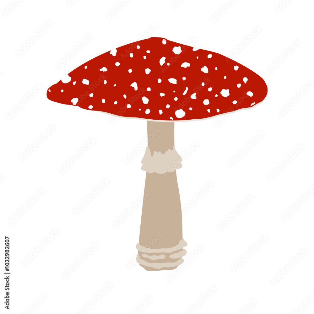 Fly agaric mushroom with red cap and white dots, Amanita muscaria mushroom, cartoon vector isolated illustration. Fly agaric mushroom with red cap and white dots, Amanita muscaria mushroom, cartoon vector isolated illustration.