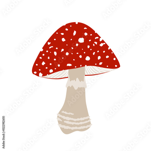 Fly agaric mushroom with red cap and white dots, Amanita muscaria mushroom, cartoon vector isolated illustration.