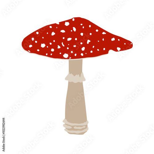 Fly agaric mushroom with red cap and white dots, Amanita muscaria mushroom, cartoon vector isolated illustration.