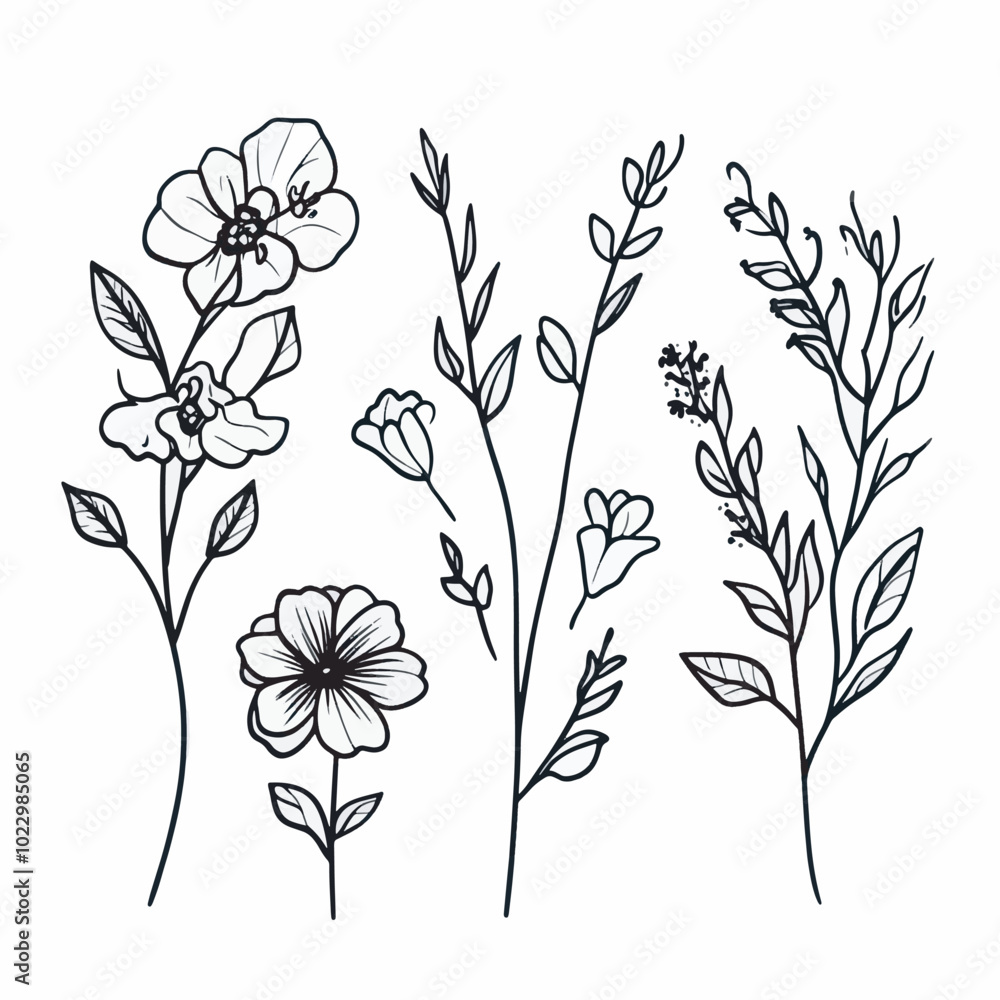 set of black and white flowers set of black and white flowers