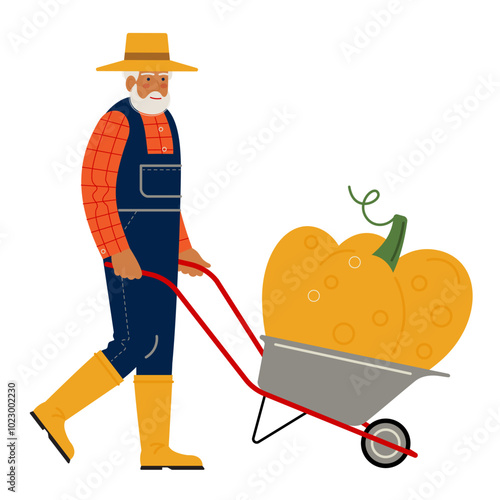 An elderly farmer is pushing a cart with a huge pumpkin. a gray-haired man is working in the garden. a flat cartoon-style drawing. stock vector illustration. EPS 10.