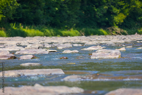 beautiful river with stones in poland during the day. blurry forest in the background. summer