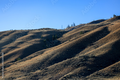 dry, unforested grass hills in Cache creeck, British Columbia photo