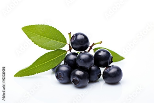 Fresh Huckleberries on White Background with Leaves