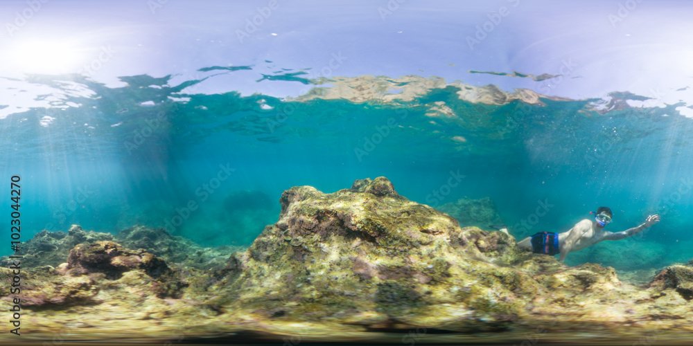 Fototapeta premium A person snorkeling near a rocky coral formation underwater, captured in a 360-degree view. The sunlight penetrates the clear water, highlighting the rocky terrain and marine life.