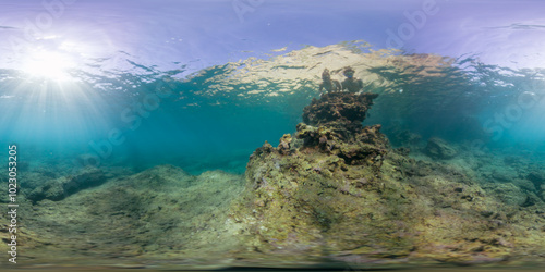 A sunlit underwater scene with a focus on coral structures, captured in a 360-degree view. The clear water and sunlight create a calm, bright environment in this vibrant marine landscape.