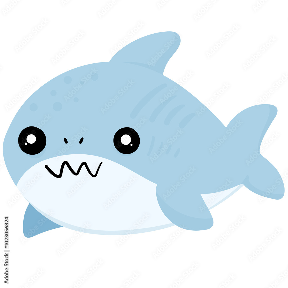 shark shark