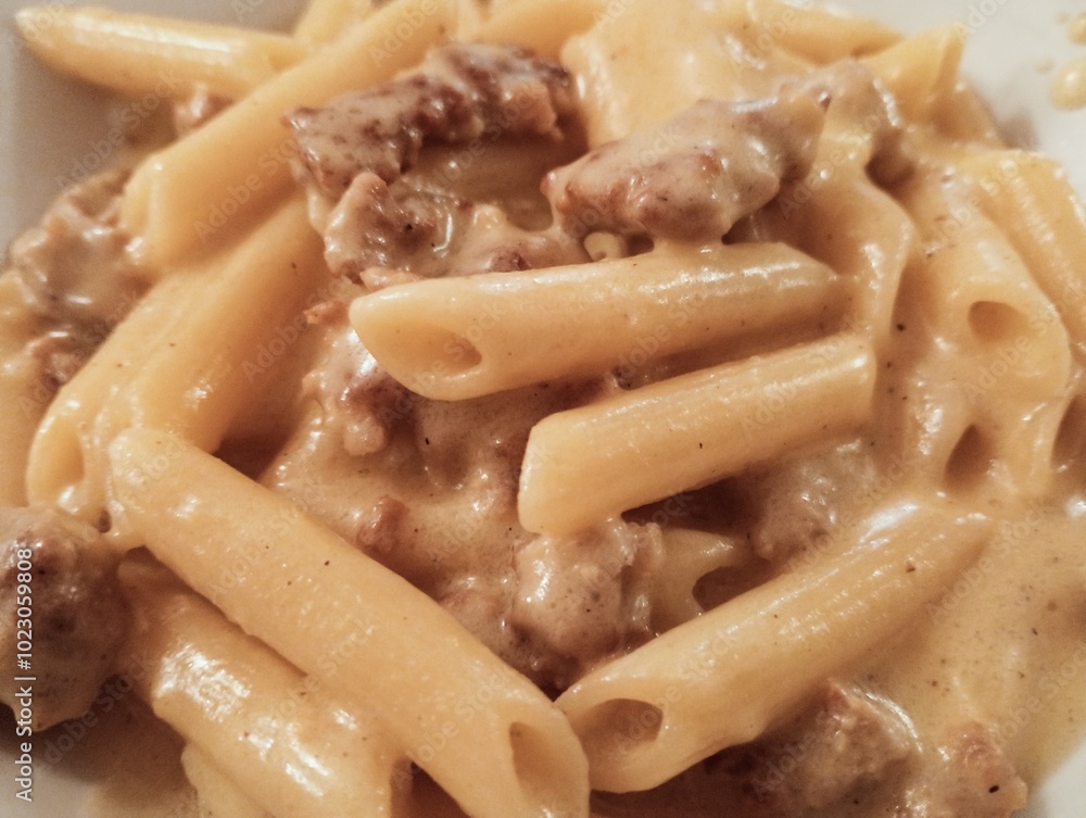short pasta with sausage and cheese sauce. Italian cuisine