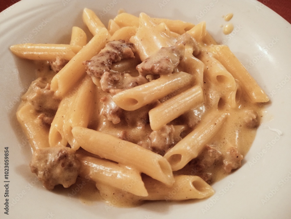 short pasta with sausage and cheese sauce. Italian cuisine