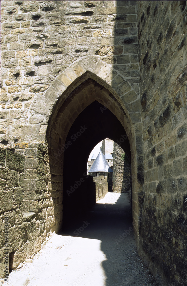 Carcassonne, France: historic walls of the medieval city Carcassonne, France: historic walls of the medieval city
