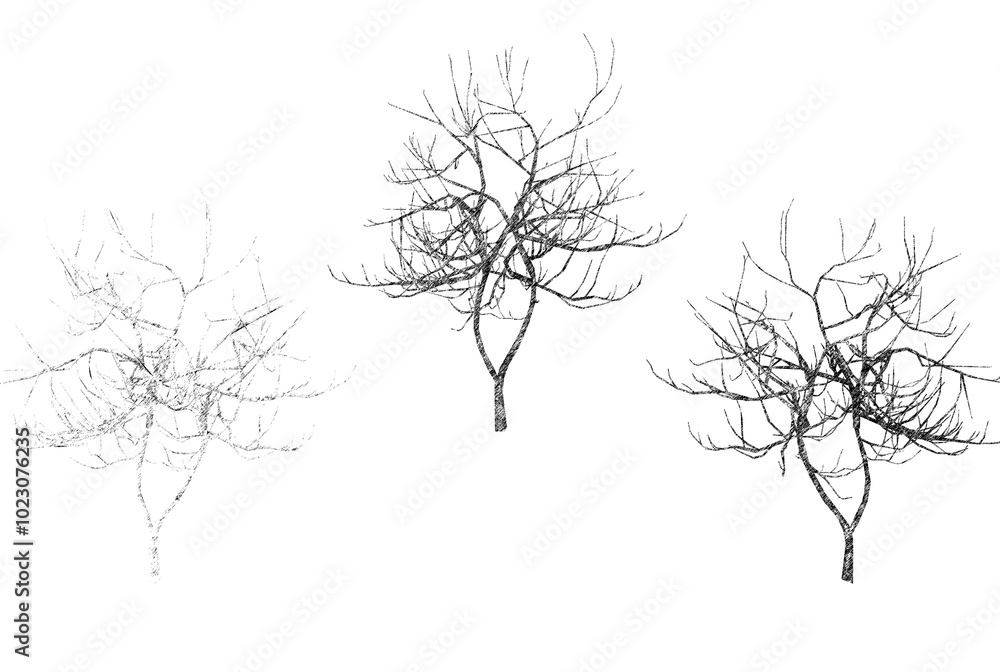 Fototapeta premium This 3D design features three leafless trees, showcasing intricate and bare branches extending in different directions.