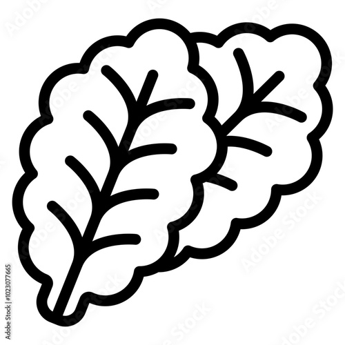 Lettuce Vector Design Icon Style