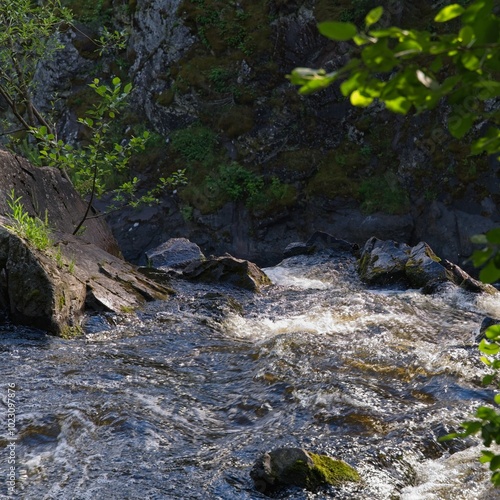  Karelia, Russia, July 10, 2024. Rapids on the river. 