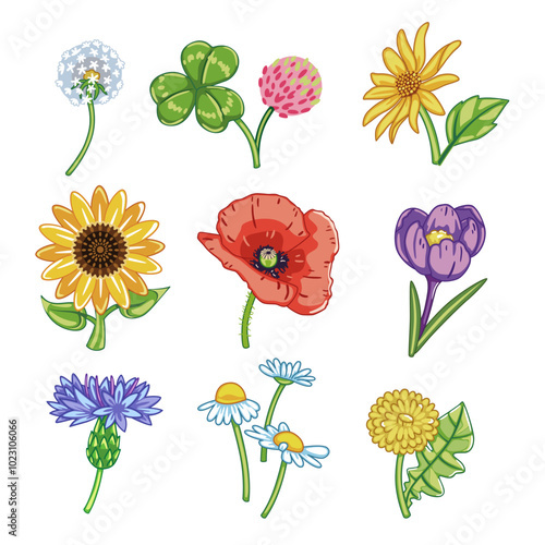 Set of cartoon style wild flowers.