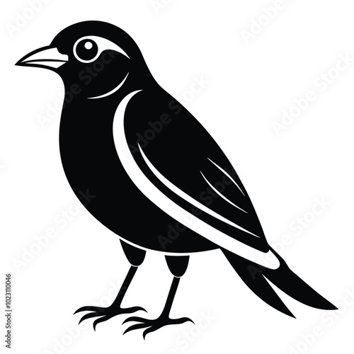 Solid color Myna Bird animal vector design