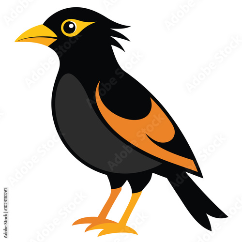 Solid color Myna Bird animal vector design