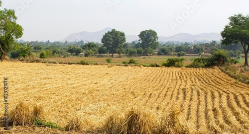 Two farmers observe their harvested field, surrounded by trees and mountains, reflecting rural life and agricultural practices.