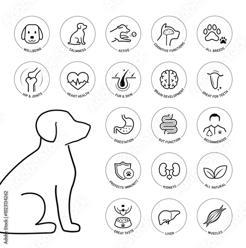 A set of icons for dog. The basic parts of pet health. The outline icons are well scalable and editable. Contrasting elements are good for different backgrounds. EPS10.	