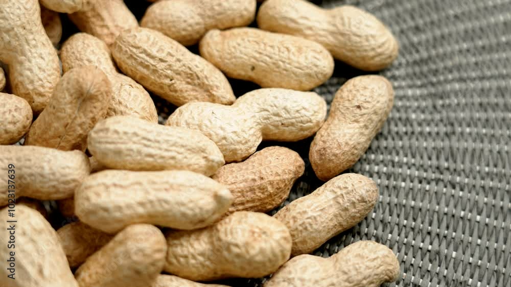 Large group of peanuts with textured nutshell on a green rustic braided cloth. Macro. Rotation Large group of peanuts with textured nutshell on a green rustic braided cloth. Macro. Rotation