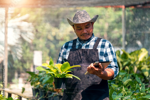 Asian male smart farmer using tablet technology analyzing air purifier plant for water and growth content, gardener plant biologist taking care for outdoor nature plants and trees using modern tech photo