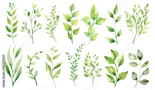 Wallpaper Mural watercolor green leaf on white background isolated.  illustrations featuring a wild green leaf set. weddings, cards, backgrounds, wrappers, dresses, wallpaper Torontodigital.ca