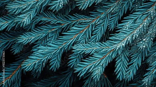 The Evergreen Pine Needle Closeup