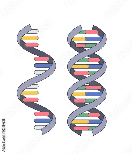 DNA vector illustration isolated. Model of the molecular structure of DNA strands. Genetic engineering concept. Medical Education Illustration