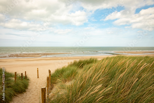 Fototapeta Naklejka Na Ścianę i Meble -  Beach of Wenduine, De Haan, Belgium