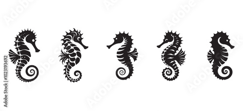 Seahorse Flat Silhouette Vector set Icon and Logo Clipart.