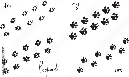 Cat,dog,leopard,fox paw prints. Animal footprints drawing isolated on background, backgrounds, vector icons Illustration. Vector illustration