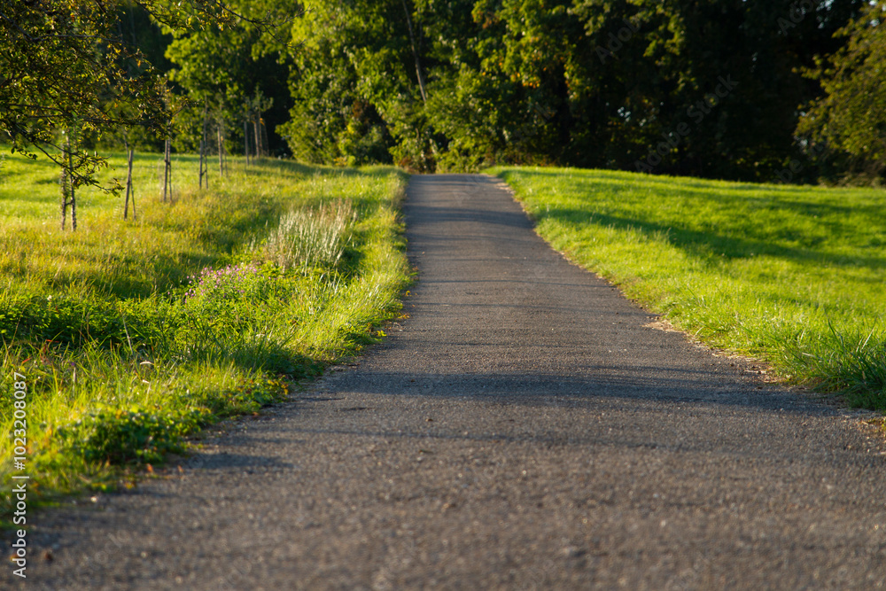 Empty Rural Pathway Surrounded by Green Fields Empty Rural Pathway Surrounded by Green Fields