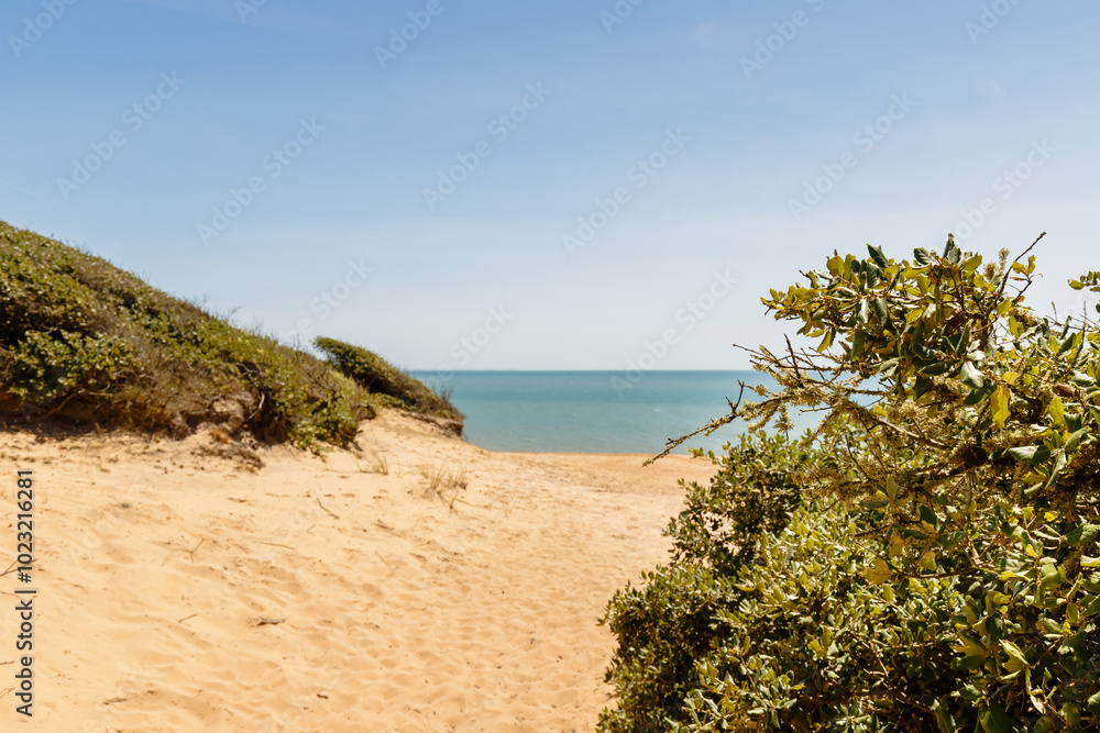 view of La Mine beach in Jard sur Mer, France