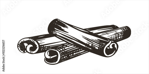 Sketch of cinnamon sticks. Dried Cinnamomum bark in woodcut style. Ink drawing of the aromatic spice.