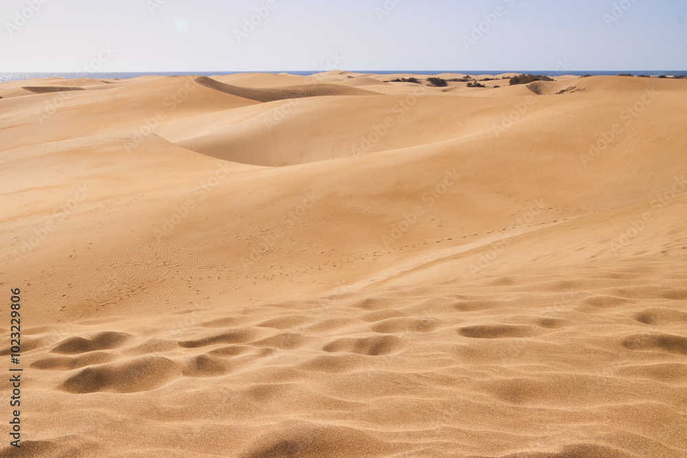 Eine Reise auf Gran Canaria. Die Dünen von Maspalomas Eine Reise auf Gran Canaria. Die Dünen von Maspalomas