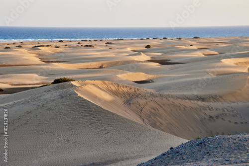 Eine Reise auf Gran Canaria. Die Dünen von Maspalomas photo