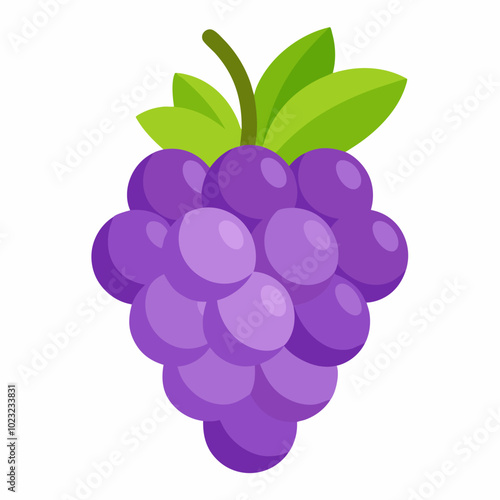 Grapes Vector Illustration on White Background  Fresh And Realistic Fruit Design