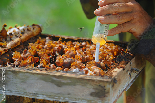 Syringe tool inhaler Bee honey (Kelulut)