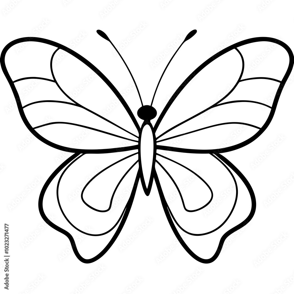 butterfly on white background vector illustration butterfly on white background vector illustration